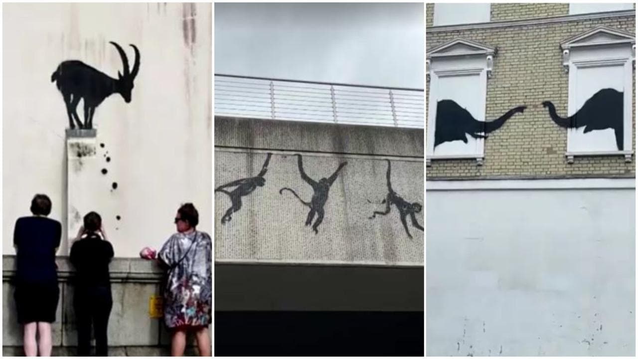 La stambecco in bilico, tre scimmie e due elefanti: il safari di Banksy sui muri di Londra
