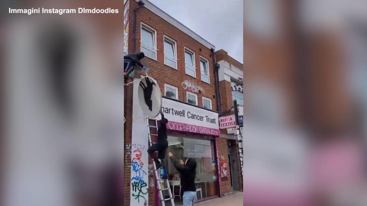 Il 'lupo' di Banksy comparso sui tetti di Londra è stato già rubato: il momento del furto