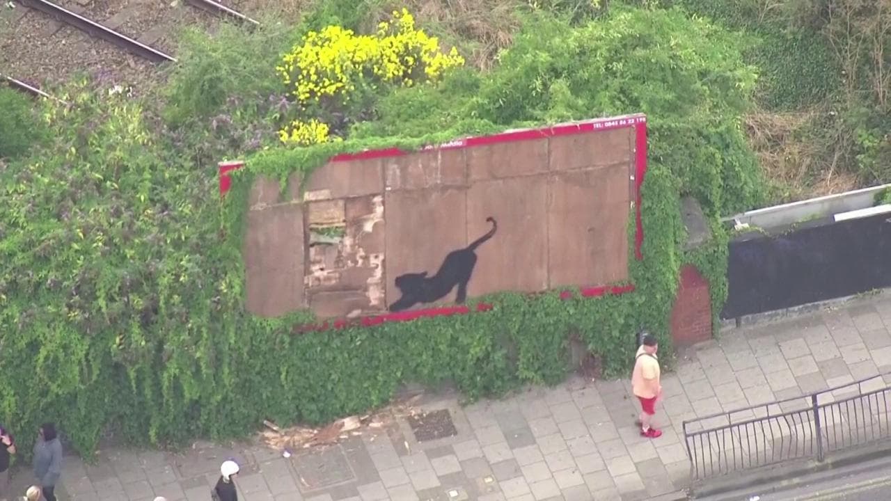 Banksy sorprende ancora, sesta opera in una settimana: un gatto su un vecchio cartellone pubblicitario