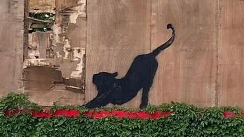Un grande felino che si stiracchia: è l’ultima opera di Banksy apparsa a Londra, in Edgware Road. L'immagine è stata postata dall'artista sul suo profilo Instagram