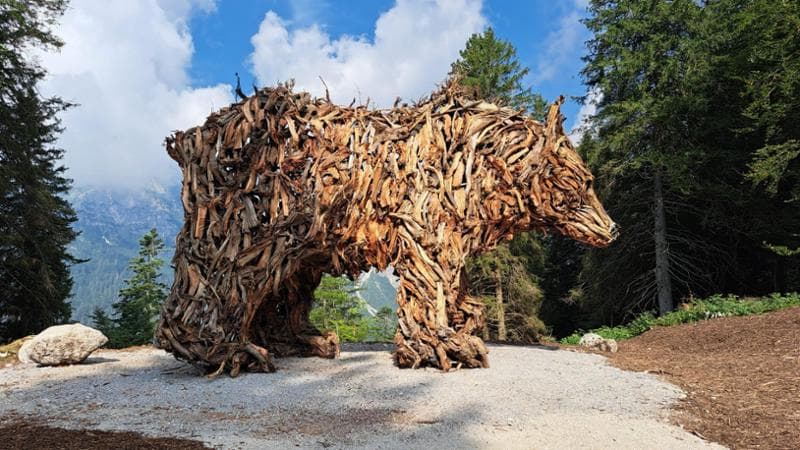 L’orso gigante fatto con i larici della tempesta di Vaia scatena la polemica social. L’artista: “Ricevo minacce di morte”