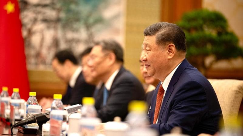 Il presidente cinese Xi Jinping