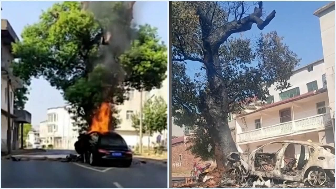 In Cina la Supercar si schianta contro un albero di 400 anni: auto distrutta, l'albero resiste alle fiamme