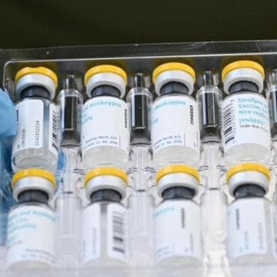 Vaiolo delle scimmie, allerta in Pakistan: “Primo caso di Mpox”