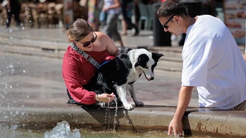 Previsioni meteo: siamo ancora in piena estate, con 35 gradi da Nord a Sud