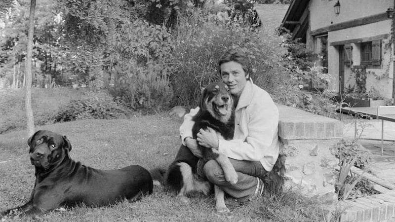 Alain Delon a Docuhy con due dei suoi cani nel 1980. Da douchy-chateaudelabrulerie.weebly.com/