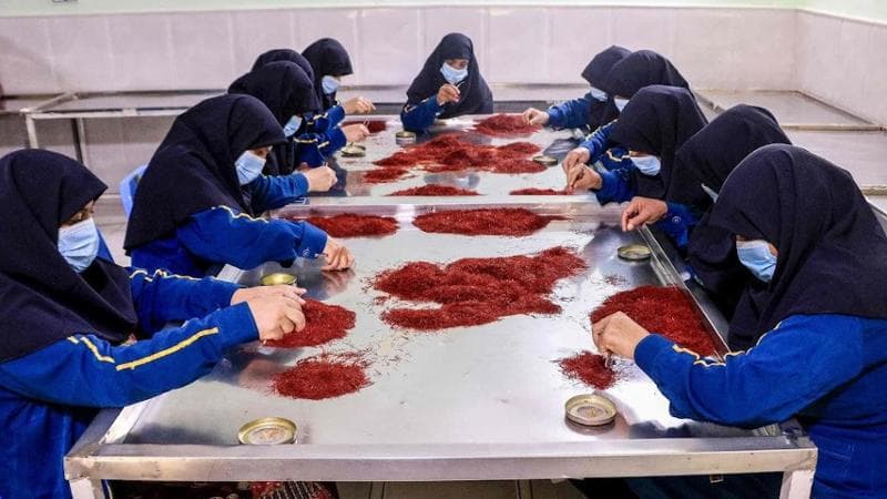 Mohsen KARIMI / AFP