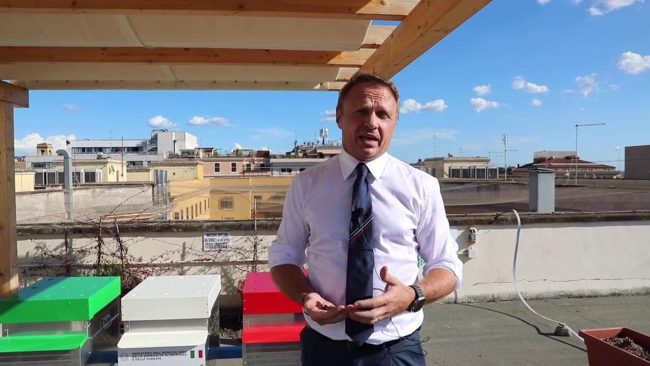 Francesco Lollobrigida piange la strage dell'alveare tricolore: la luna di miele è finita