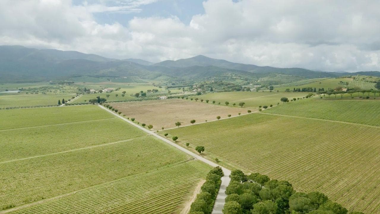 Road to Green&amp;Blue Festival 2024: in onda il documentario “I sentieri della sostenibilità” - Foto