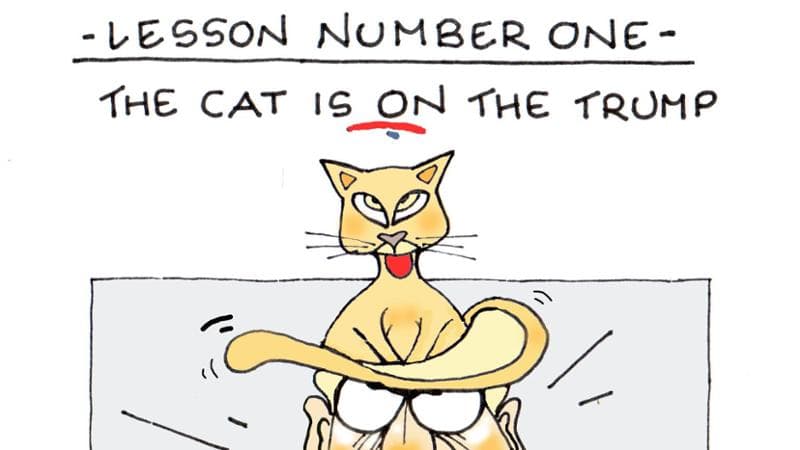 Trump, il dibattito e il gatto: la vignetta di Ellekappa