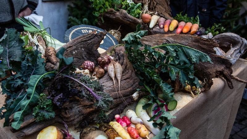 L'appello di Slow Food ai leader del G7 Agricoltura: “Il valore del cibo sia un diritto fondamentale”