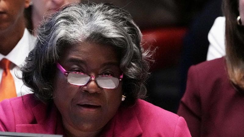 Gli Usa pronti ad appoggiare due seggi permanenti per l'Africa nel Consiglio di Sicurezza dell'Onu, un rischio per l'Italia