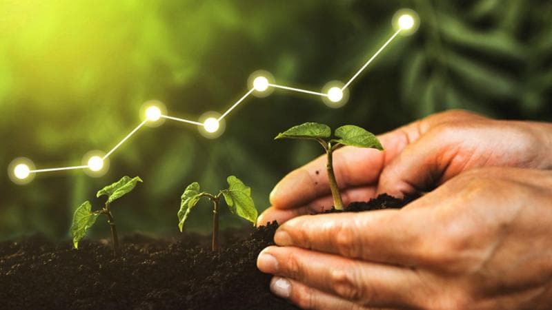 Fondi Esg: sono i prodotti "climatici" a far registrare i tassi di crescita più alti