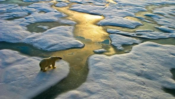 Strategie etiche, l’Europa brilla al primo posto nella lotta per il clima