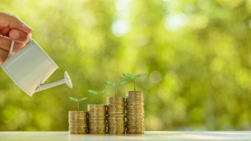 Le cinque sfide per rendere sostenibili i portafogli di investimento