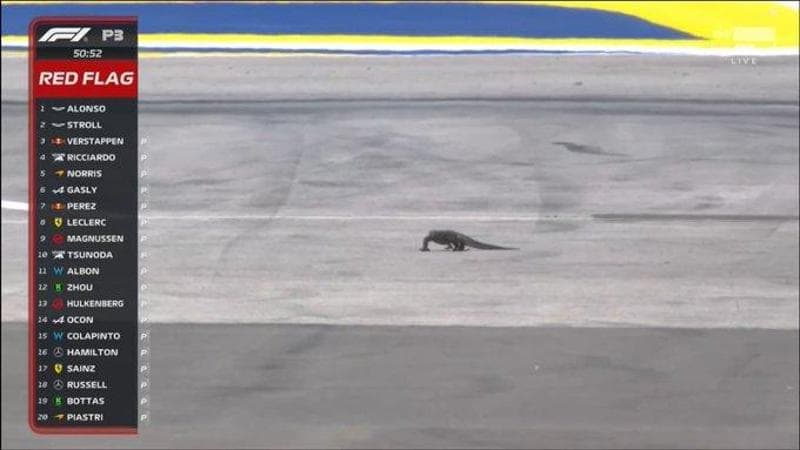 Il varano in pista a Singapore