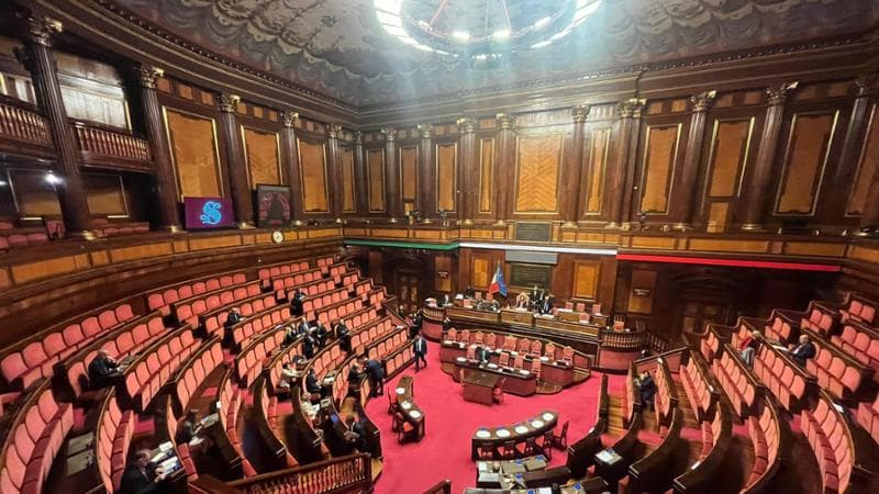 L'aula del Senato&nbsp;
