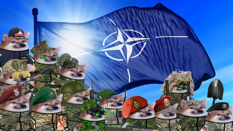 Nafo, l’armata dei cagnolini pro-Ucraina che con i meme ha sbugiardato Medvedev e i troll russi