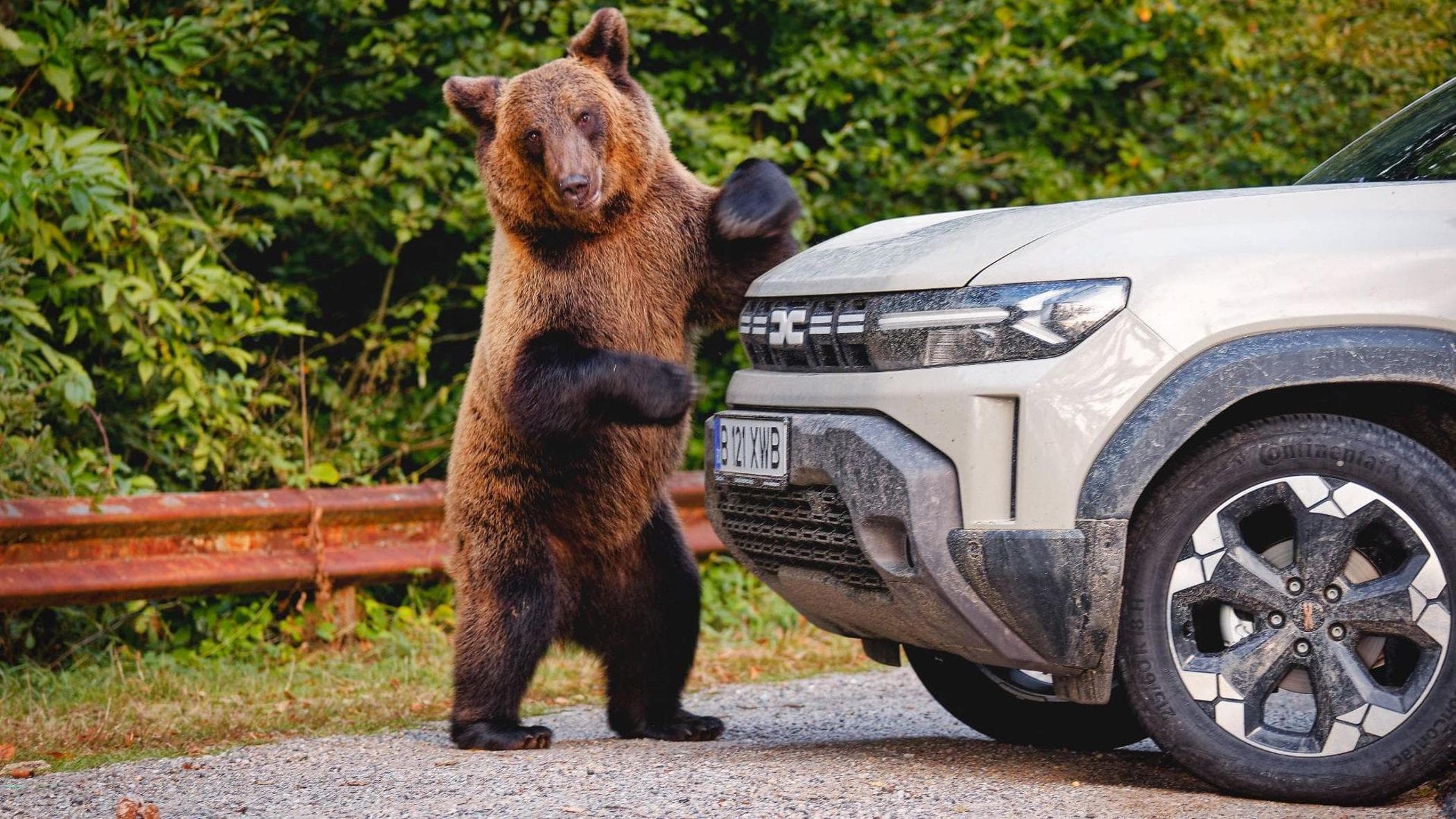 新しい前輪駆動と4×4ダスターでクマと浅瀬の間のドラキュラ伯爵の道を走る