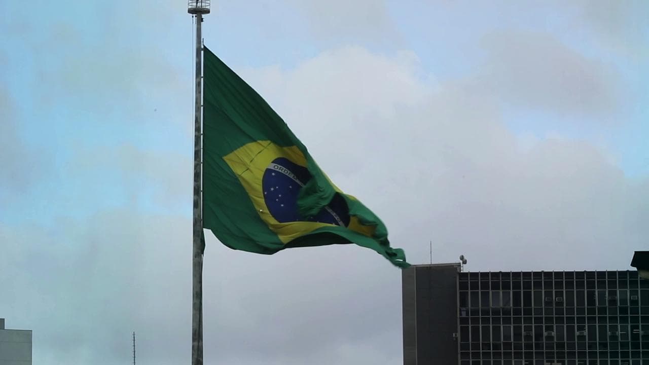 Loop Amazzonia