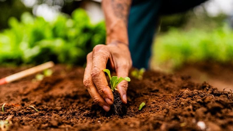 “Il nostro unico azionista è il pianeta Terra”: la storia dell’impegno ecologico di Patagonia