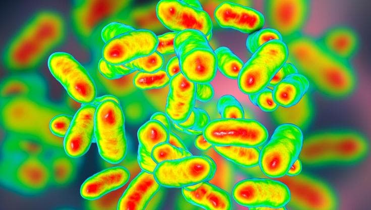 Il microbiologo Rino Rappuoli: “I batteri salveranno il mondo. Ecco come”
