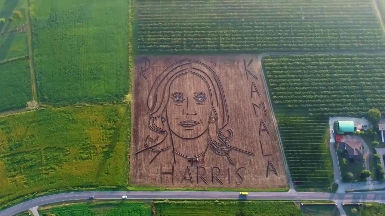 L'omaggio dell'artista italiano Dario Gambarin a Kamala Harris: il maxi-ritratto è su un campo nel Veronese