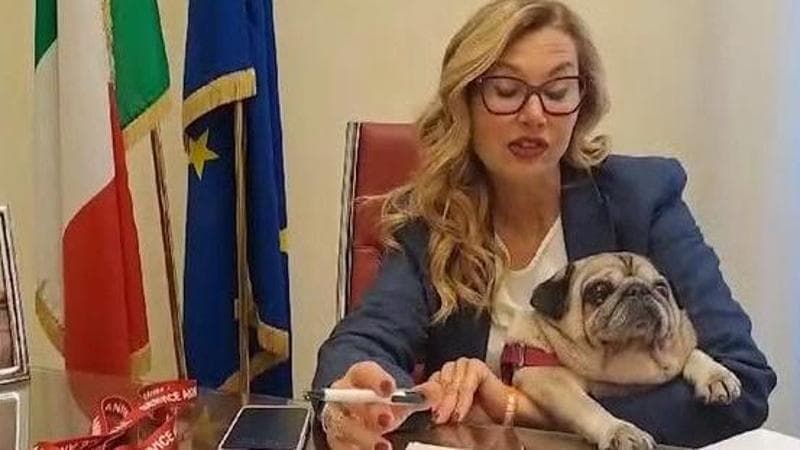L'onorevole Michaela Biancofiore con il cane Puggy in Senato