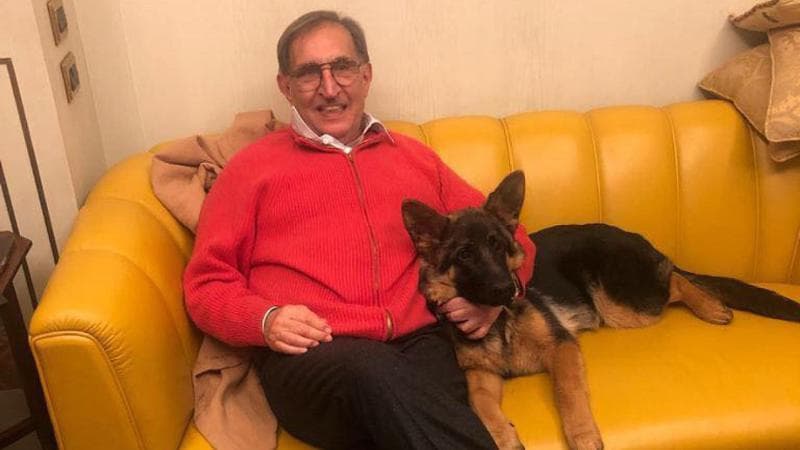 Una foto di Ignazio La Russa seduto sul divano con il suo cane, pubblicata sul suo profilo facebook il 3 novembre 2022. FACEBOOK / IGNAZIO LA RUSSA
