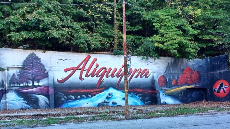 Viaggio ad Aliquippa, nel deserto industriale che rischia di regalare la Pennsylvania a Trump