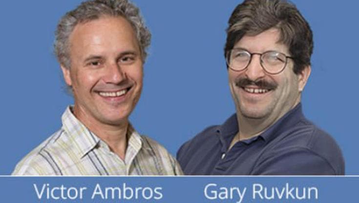 Chi sono i vincitori del Nobel, gli americani Ambros e Ruvkun