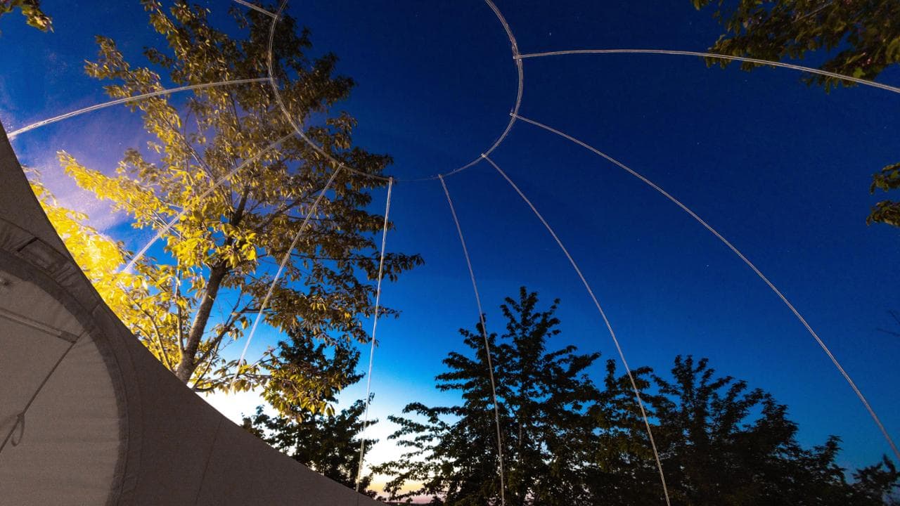 La Bolla del Borgo (Corinaldo - Marche)