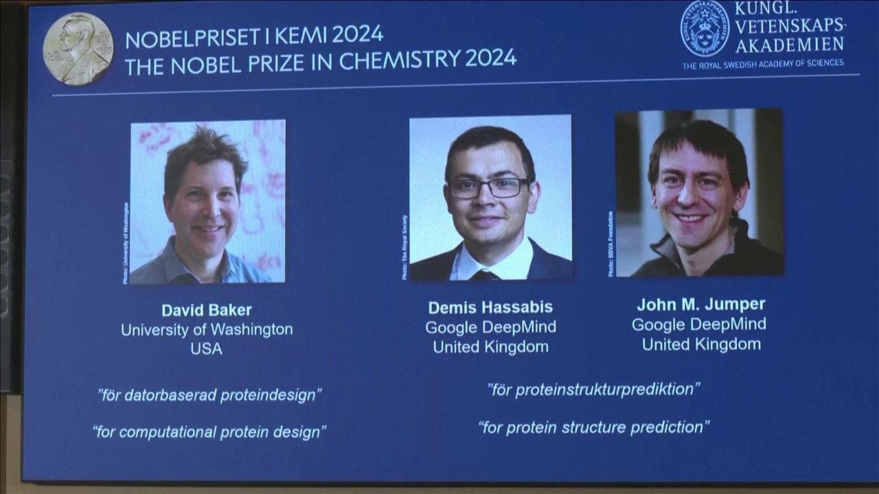 Stoccolma, l'annuncio del Nobel per la chimica a Baker, Hassabis e Jumper per i loro studi sulle proteine