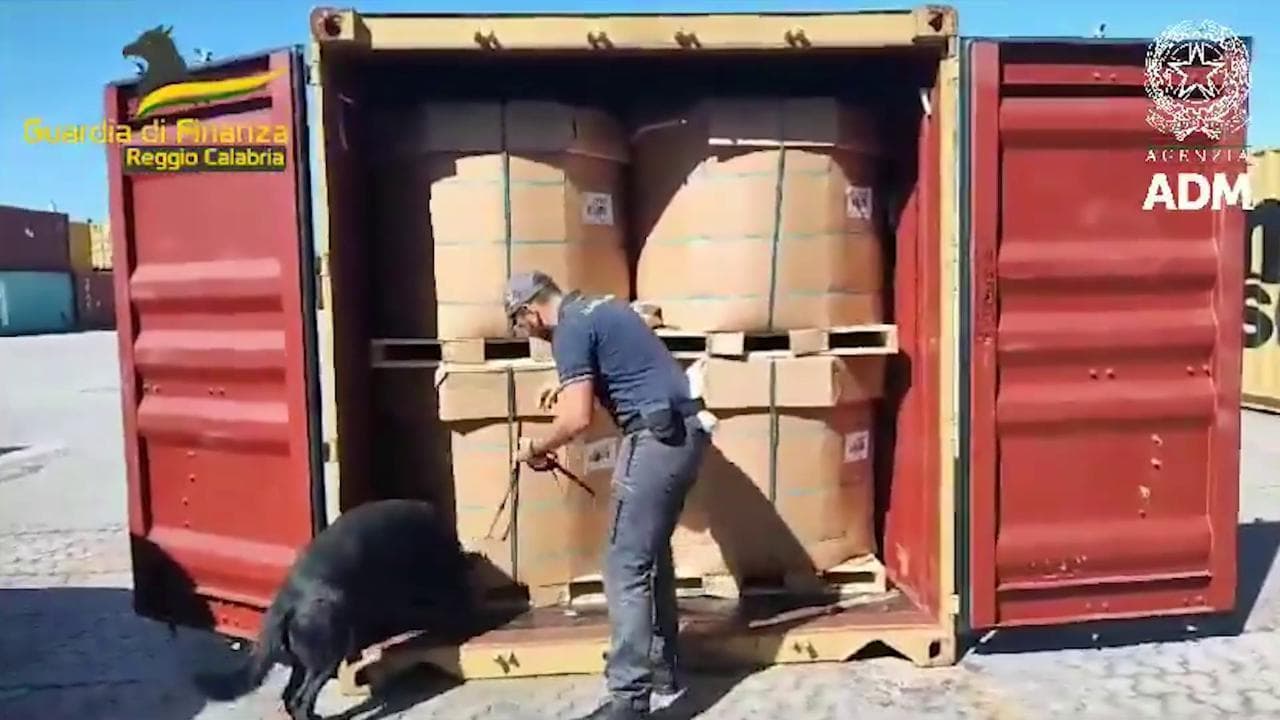 Gioia Tauro, cocaina nei container del porto: sequestrati 280 kg di droga