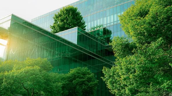 Annullare le emissioni: l’obiettivo di Polimi GSoM per le sue attività di formazione