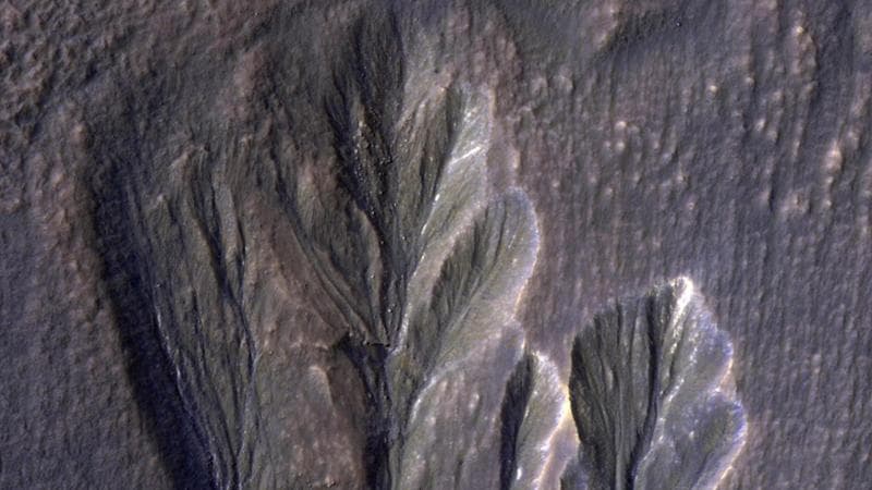 Canali probabilmente scavati dall'acqua su Marte. In bianco tracce di ghiaccio. NASA/JPL-Caltech/University of Arizona