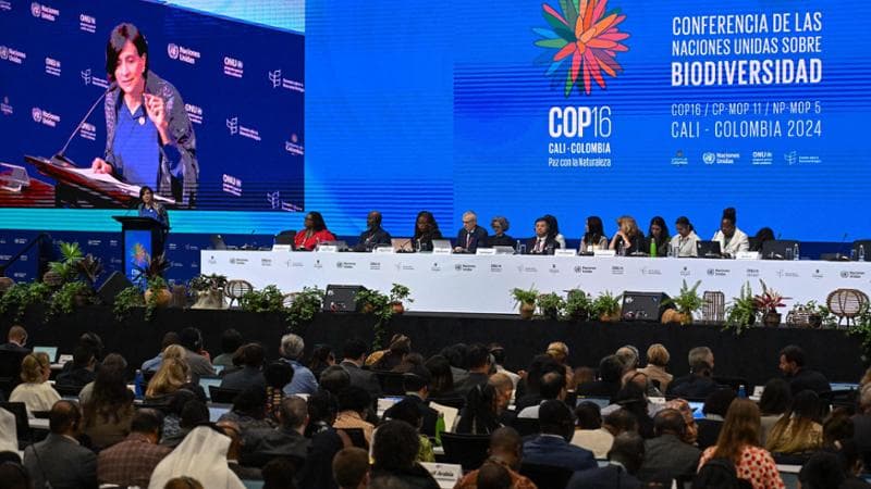 In Colombia la Cop per salvare la natura: “È in corso una seconda estinzione”