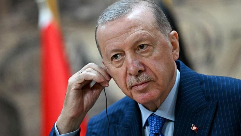 Maternità surrogata, Erdogan si congratula con la premier: “Difesi i valori tradizionali”