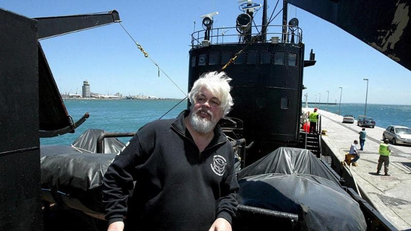 Da Brigitte Bardot a James Cameron: “Liberate Watson, paladino delle balene”