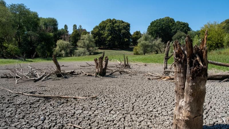 Il caro-materie prime non dà tregua agli agricoltori