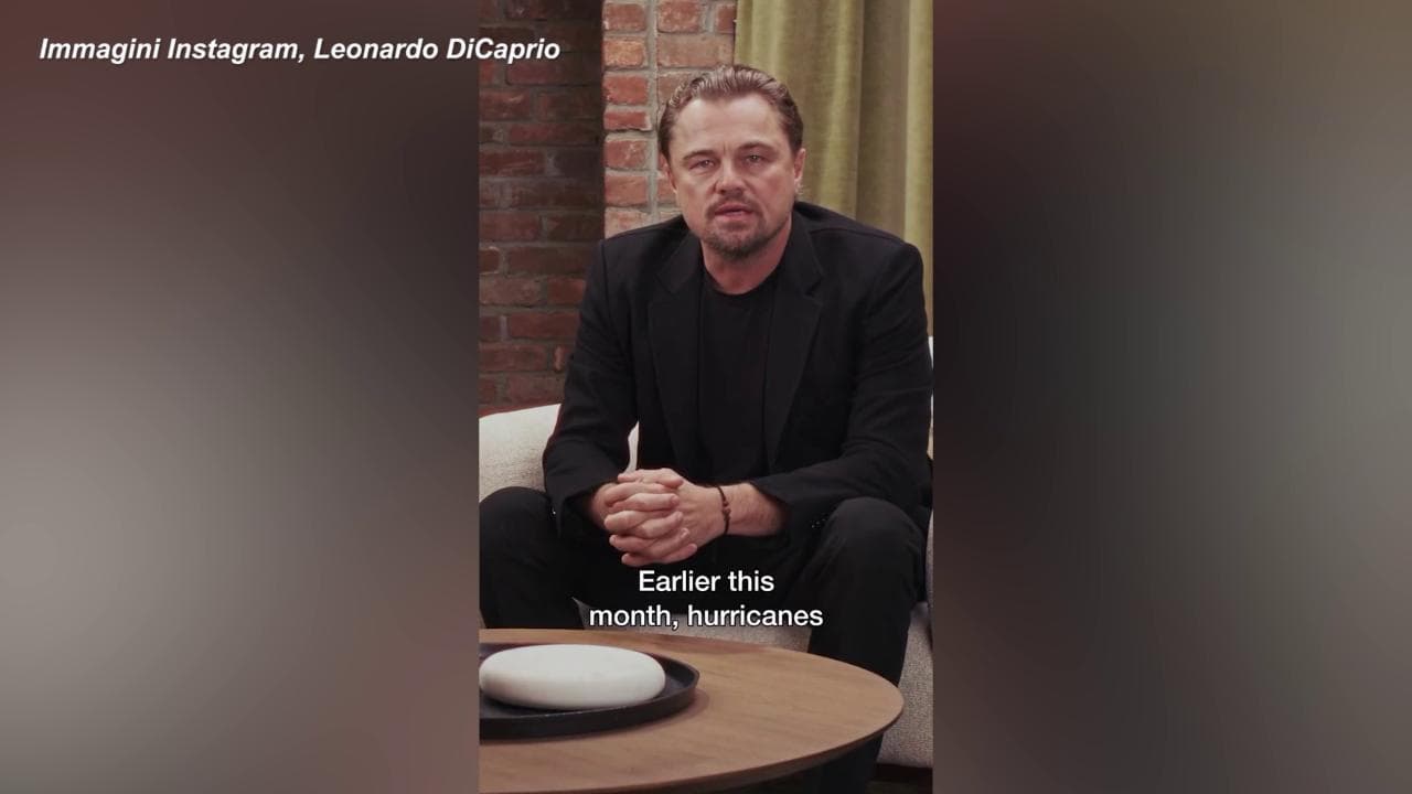 Presidenziali Usa, Di Caprio: "Abbiamo bisogno di leader capaci di salvare il Pianeta. Per questo voterò Kamala Harris"