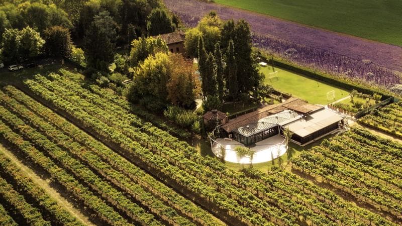 Una veduta dell'azienda agricola Malpighi la Tenuta del Cigno, dove &egrave; possobile visitare le antiche acetaie, la sala cottura del mosto e il museo
