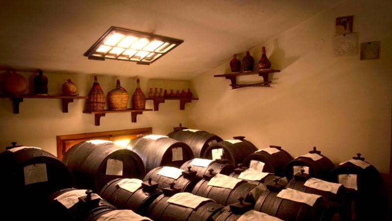 Un sottotetto con le botti, con le tipiche pezzuoline, per la produzione di aceto
