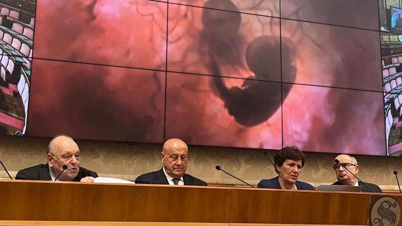 Un momento del convegno delle associazioni pro-vita al Senato