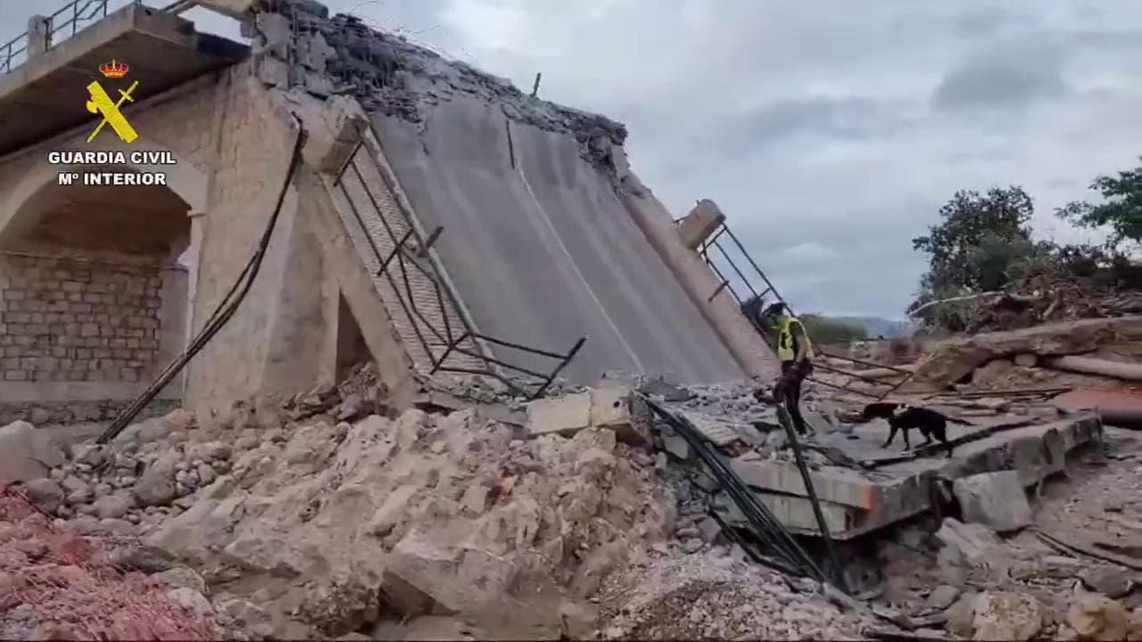 Alluvione Valencia, la Guardia Civil cerca i dispersi tra fango e macerie: in azione i cani molecolari