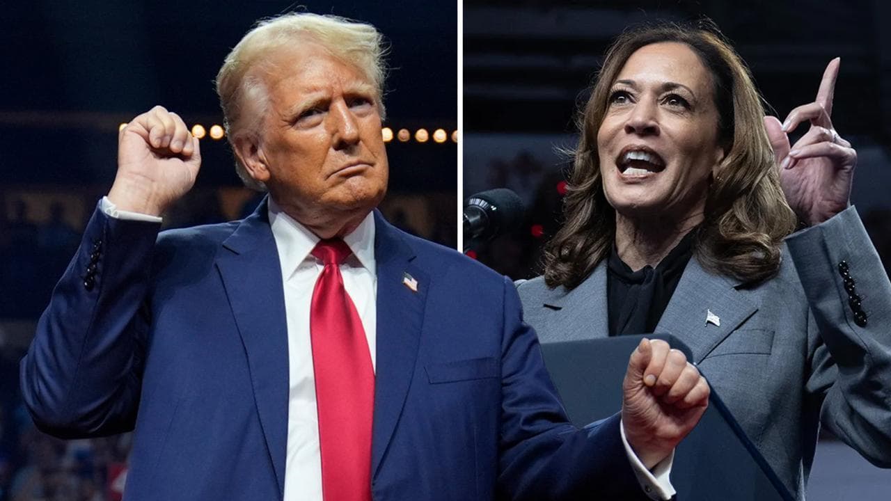 Elezioni Usa, da Trump "tiranno fascista" a Harris "stupida pazza": best of degli insulti che hanno segnato il voto