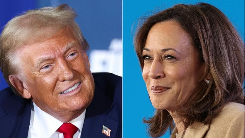 Chi sono i candidati alla presidenza Usa: Trump “il vendicativo” e Harris uscita dall’ombra