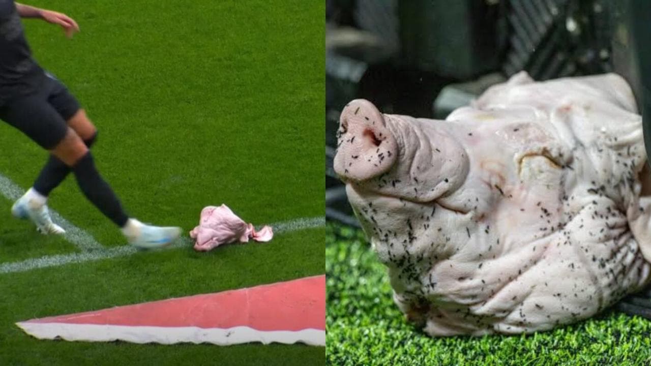 I tifosi lanciano una testa di maiale in campo nel derby brasiliano