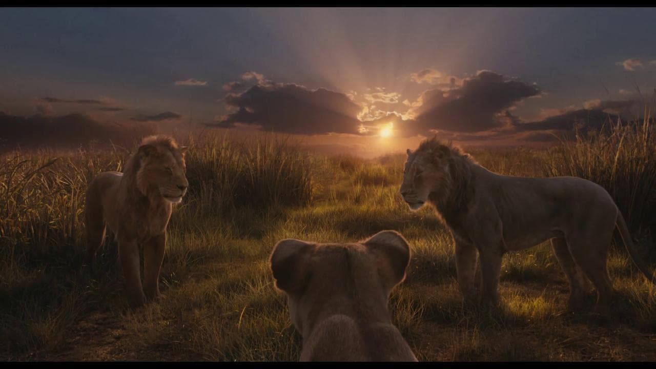 "Mufasa: il re leone" il live action su un cucciolo in cerca del suo destino - trailer