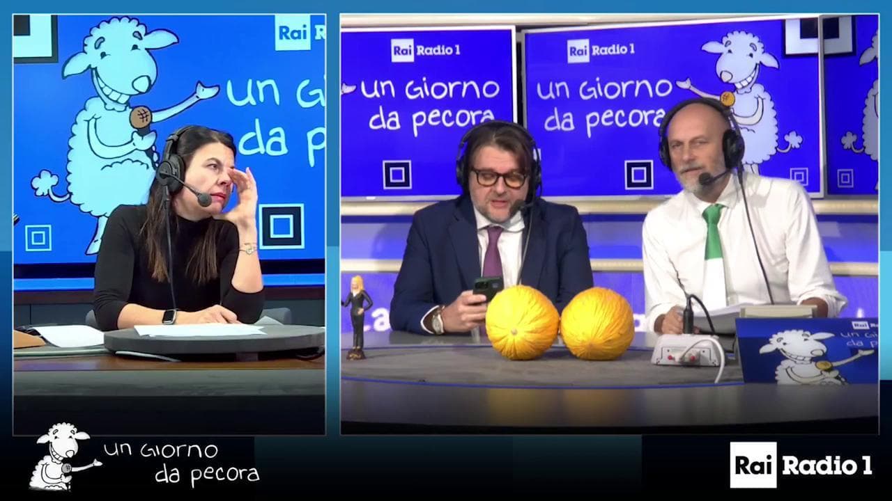 Meloni al deputato Osnato: "Sto male ma lavoro comunque. Non ho diritti sindacali particolari"